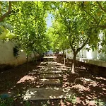 Uliveus - Rossa Villa