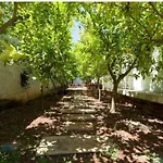 Villa Uliveus - Rossa Monopoli