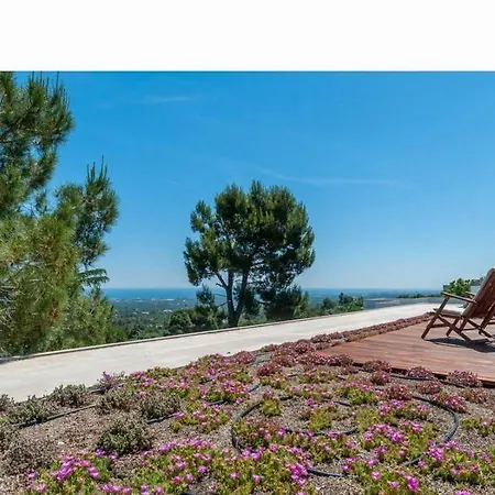 Uliveus - Rossa Villa