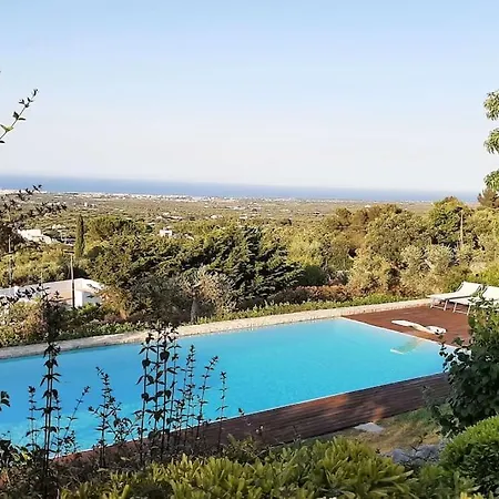 Uliveus - Rossa * Monopoli