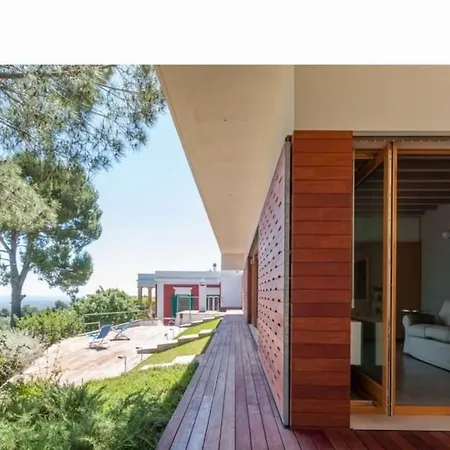 Uliveus - Rossa Monopoli