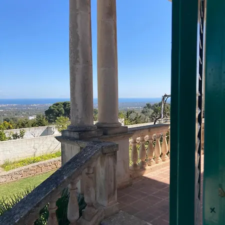 Uliveus - Rossa * Monopoli