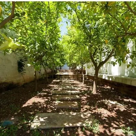 Villa Uliveus - Rossa Monopoli